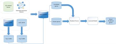 Identification of Novel Susceptible Genes of Gastric Cancer Based on Integrated Omics Data
